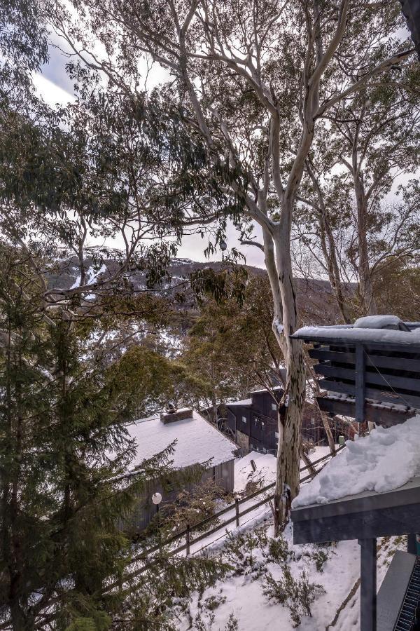 Pure Chalet Thredbo Exterior foto